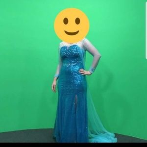 Elsa - Frozen - Cosplay Costume